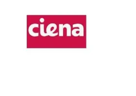 160-9700-900 Ciena 16gfc/32gfc Sfp28 Fiber Channel 850nm 100m Lc Mmf