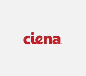 Ciena Xcvr-s80u55 10gbase-bx Sfp Bidi Optical Transceiver 1550nm 80km Lc Smf