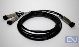 Molex 1003461301 3m 100gbps To 2x 50g Zqsfp Passive Dac Breakout Cable Oem