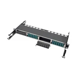 Tripp Lite N484-12M12 40GB Pass-through Cassette New. Price: $145.00.