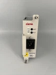 Ciena CN4200RS Flexselect Man-os-cp Super Chan Mgr W/ PSM-12V Managed Module Used. Price: $100.00.