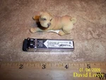 Finisar FTRJ8519P1BNL-MD 850NM Gbic Fiber Channel Tranceiver Used. Price: $15.99.