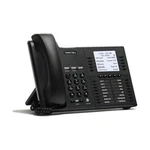 Iwatsu 505910 Icon IX-5910 Ip Business Phone (black/refurbished) Seller. Price: $99.00.